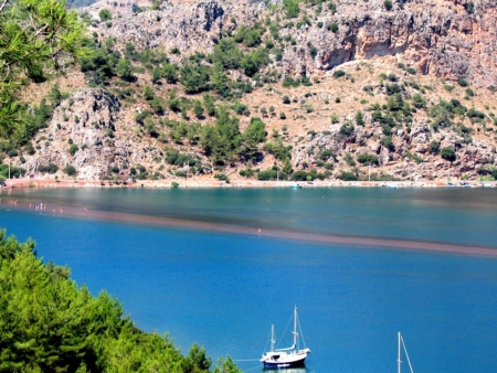 Orhaniye