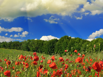 Climate of Turkey